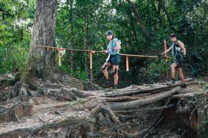 BIB: 
                            <button type="button" onclick="openModal(27741050)" class="btn btn-primary btn-sm float-right btn-popup" data-toggle="modal" data-target=".modal-high-quality">
                        <i class="fas fa-shopping-cart"></i> Add to Cart
                    </button>
                                            <button type="button" onclick="isThisMe(27741050, true)" class="btn btn-success btn-sm float-right btn-popup btn-isme hidden" data-toggle="tooltip" data-placement="bottom" title="นี่คือรูปของคุณใช่ไหม คลิกที่นี่เพื่อเอาเข้าอัลบั้ม">
                        <i class="fas fa-plus"></i> Add to album
                    </button>
                    <button type="button" onclick="isThisMe(27741050, false)" class="btn btn-warning btn-sm float-right btn-popup btn-isnotme hidden">
                        <i class="fas fa-ban"></i> Remove from album
                    </button>